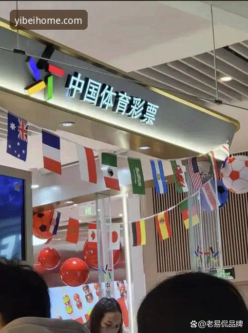 资深用户分享：易倍体育官方版下载实战经验与安全使用心得